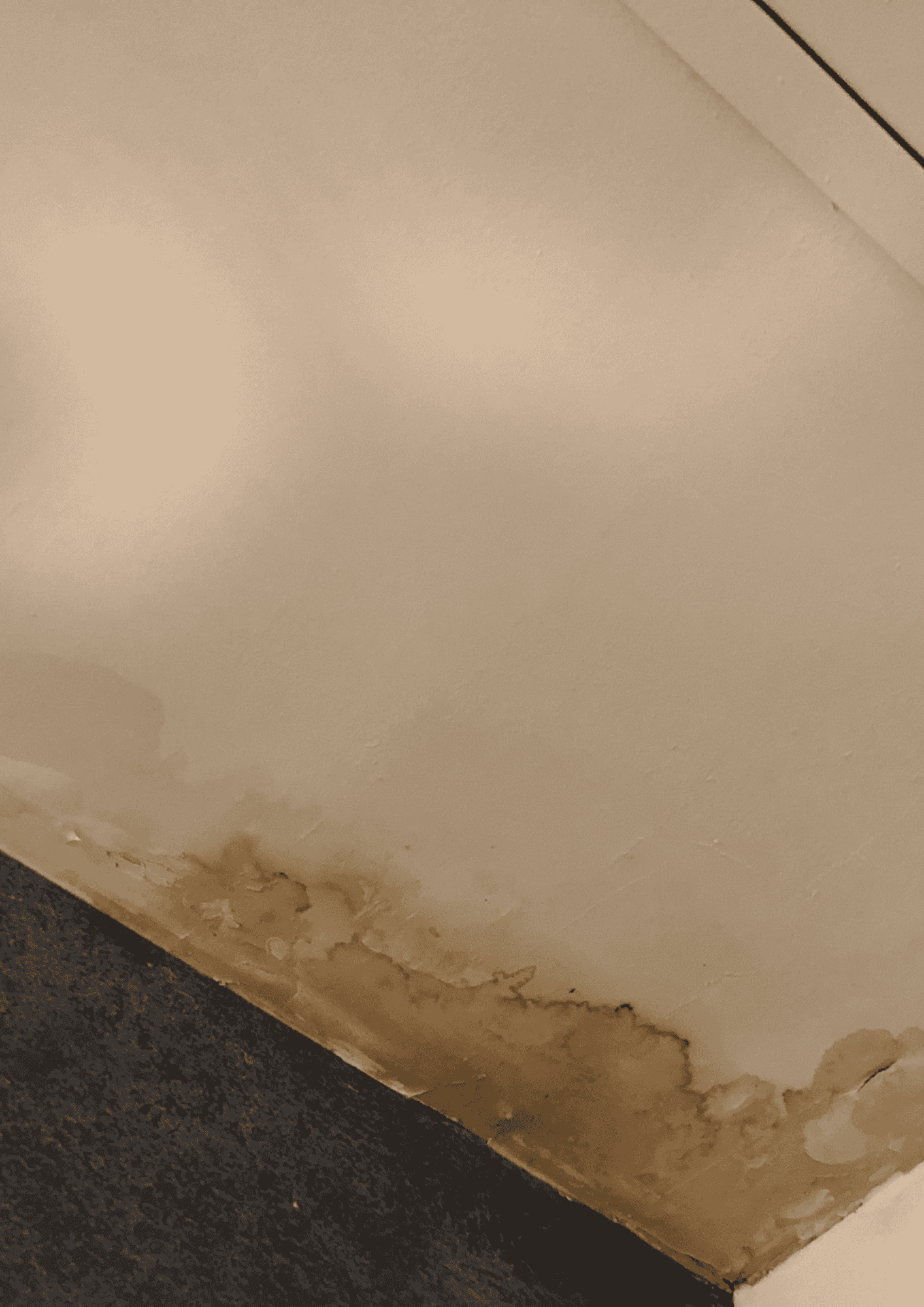 Réparations & fuites